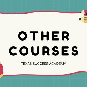 Other Courses
