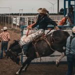 Profile photo of Austin Newsom